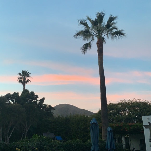 Meet your Posher, Cozette - Picture 1 of 1